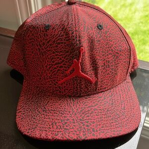 Jordan NIke Pro Ingot Elephant Print Hat Rare NEW